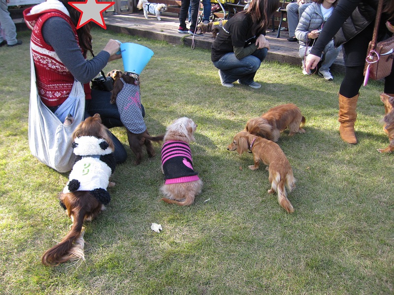 2012110404.jpg