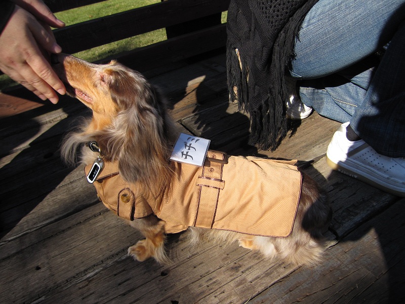 2012110405.jpg
