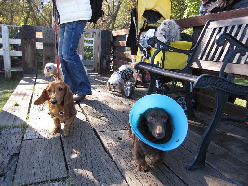 2012110406.jpg