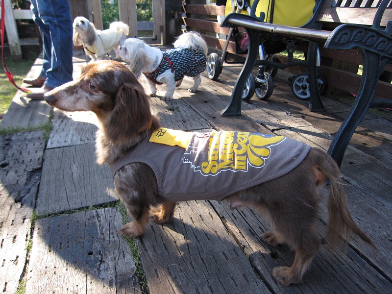 2012110407.jpg