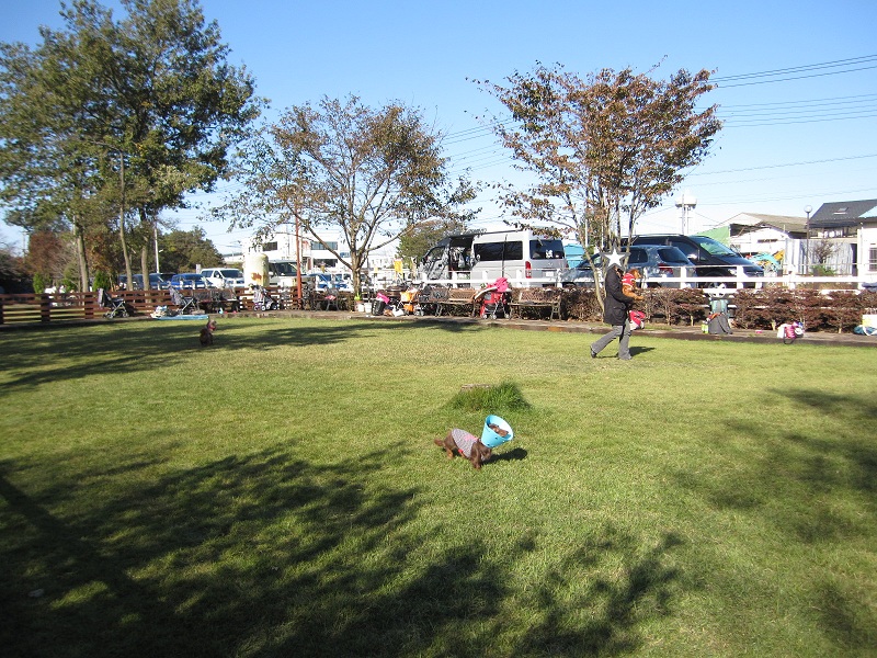 2012110408.jpg