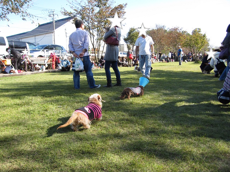 2012110409.jpg