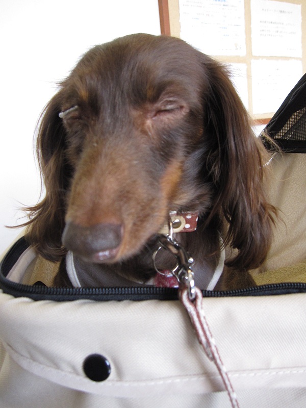 2012110411.jpg