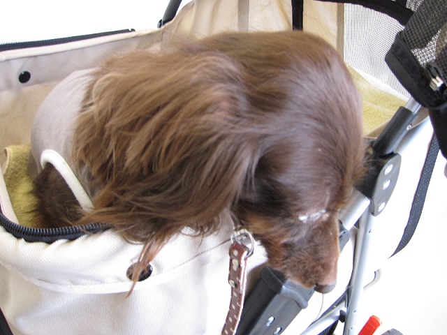 2012110412.jpg