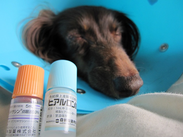 2012110414.jpg
