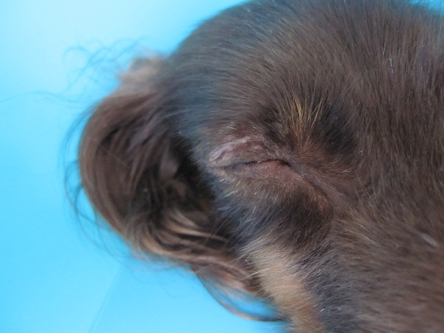 2012110415.jpg