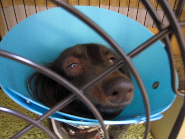 2012110416.jpg
