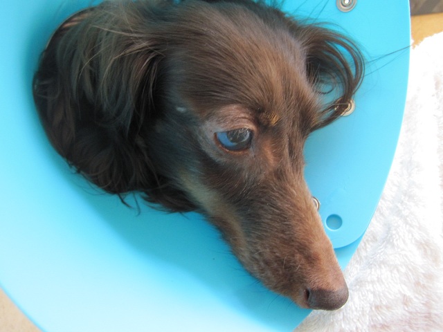 2012111301.jpg