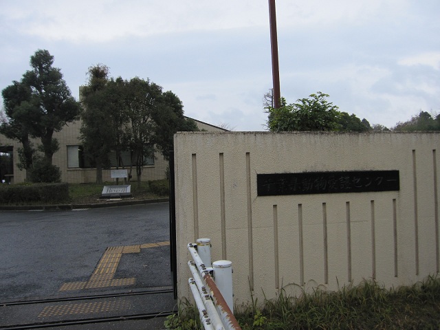 2012112601.jpg