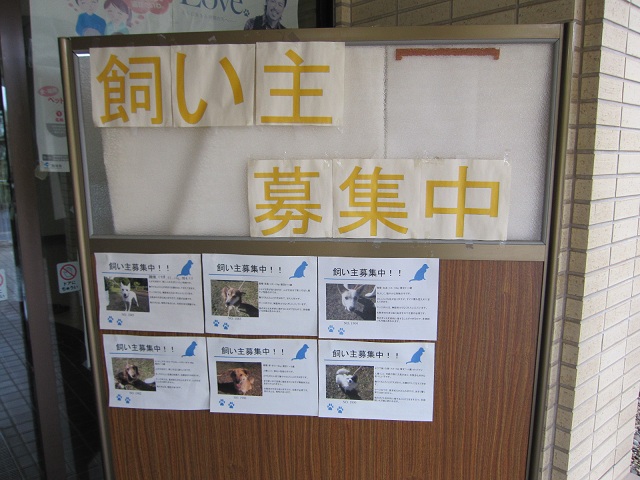 2012112602.jpg