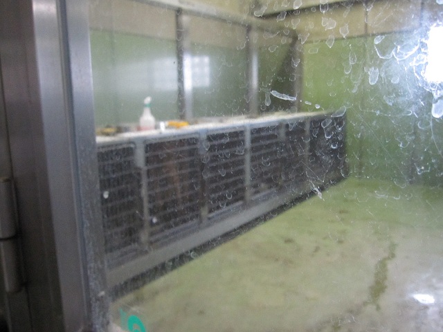 2012112603.jpg