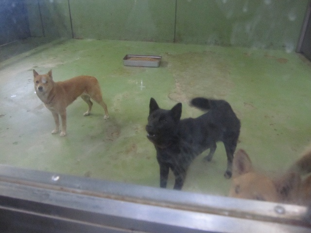 2012112606.jpg