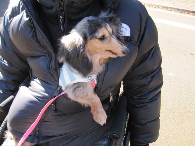 2012120904.jpg