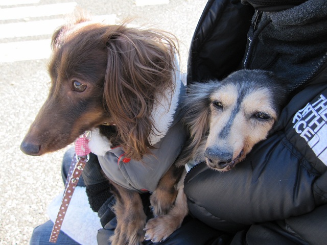 2012120905.jpg
