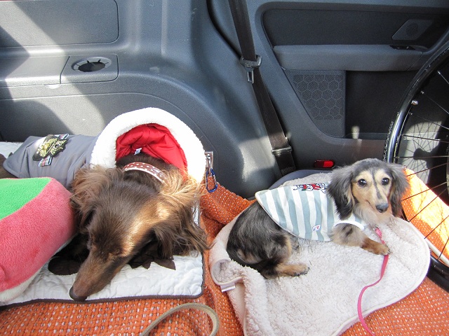 2012120906.jpg