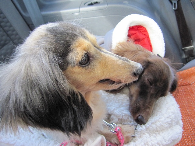 2012120907.jpg