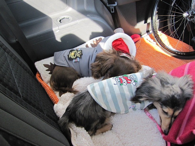 2012120908.jpg