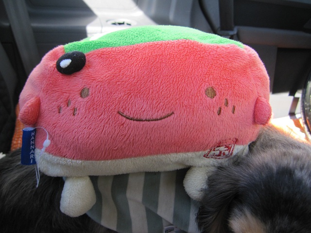 2012120909.jpg