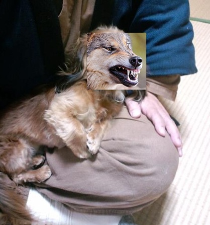 2012121711.jpg