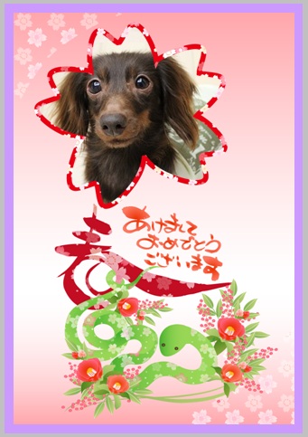 2013010100.jpg