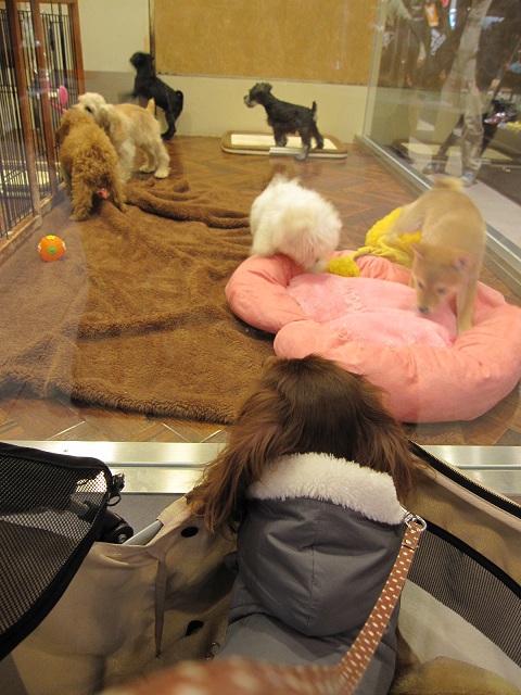 2013010103.jpg