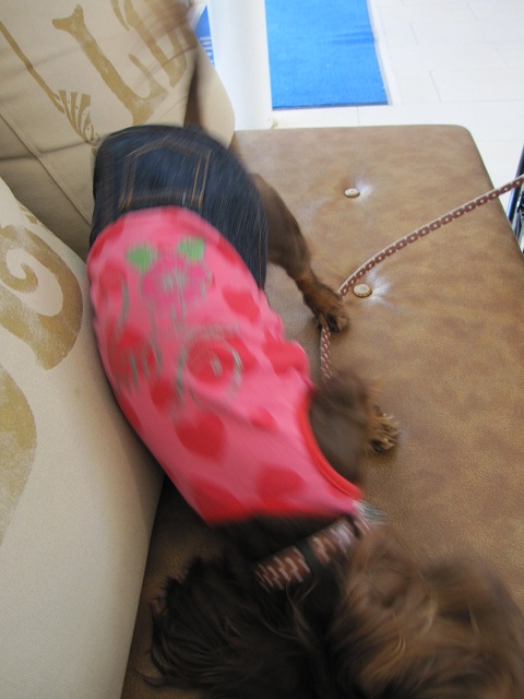 2013010104.jpg