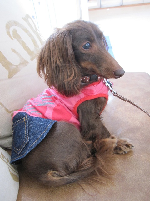 2013010107.jpg