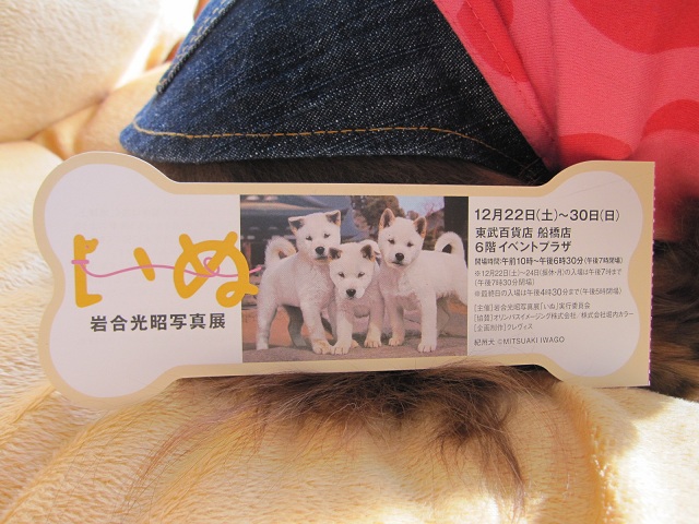 2013010601.jpg