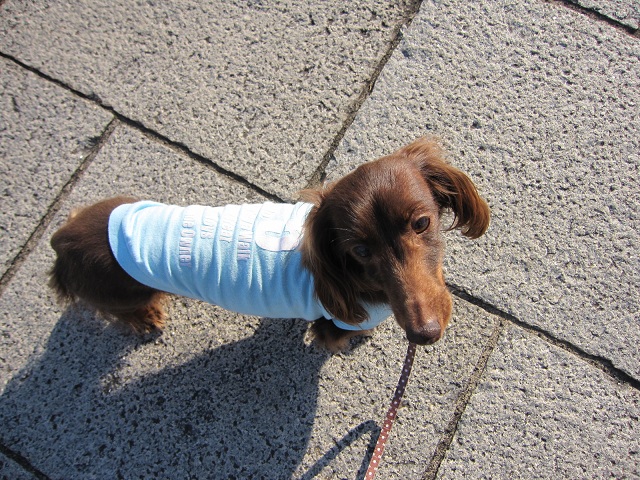 2013011201.jpg