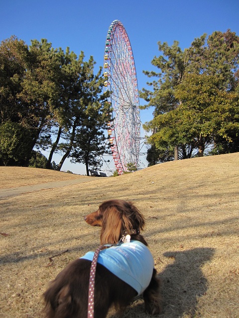 2013011205.jpg
