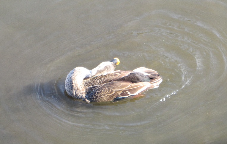 2013011208.jpg