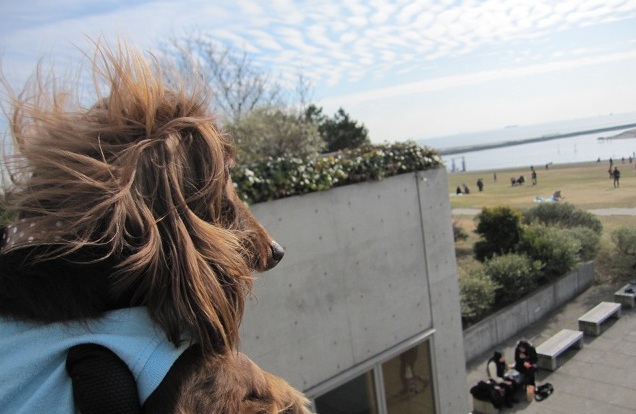2013011211.jpg