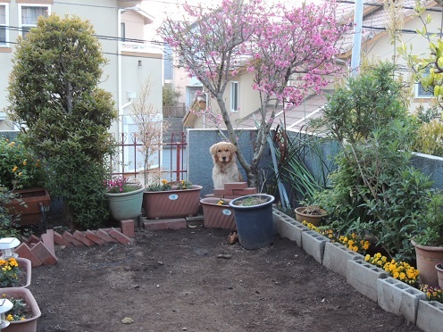 DSCN3304.jpg