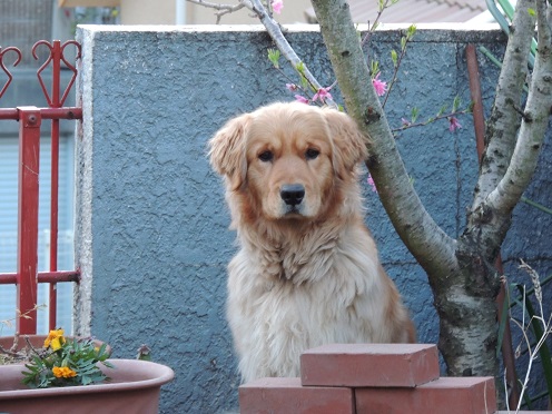 DSCN3305.jpg