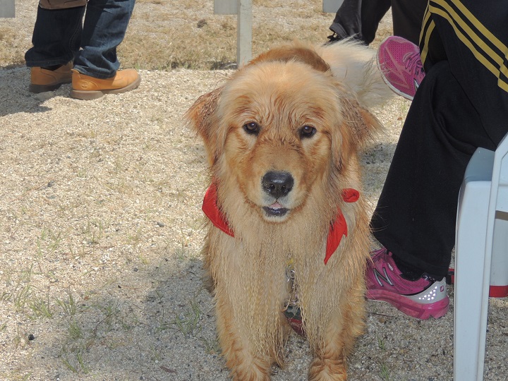 DSCN5032.jpg