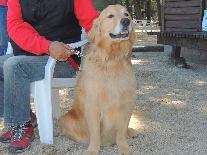DSCN5040.jpg
