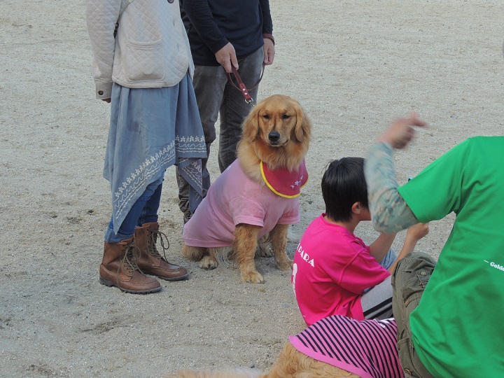 DSCN5077.jpg