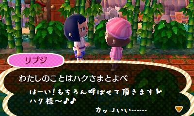 Cocoa村の森diary とびだせどうぶつの森 訪問記no 5 くろこっぺ村