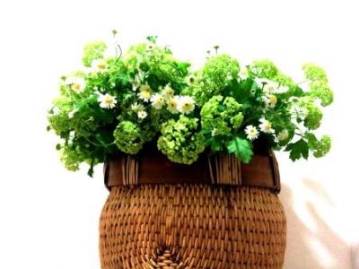 20120429_225704.jpg