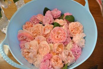 20120521165.jpg