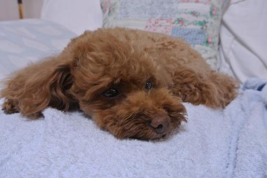 20120820032.jpg