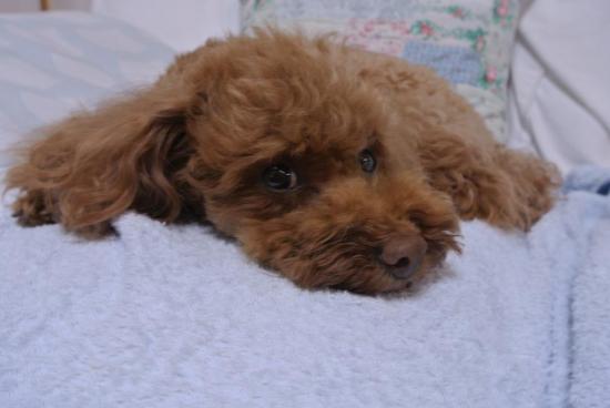 20120820034.jpg