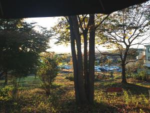 20121115_03