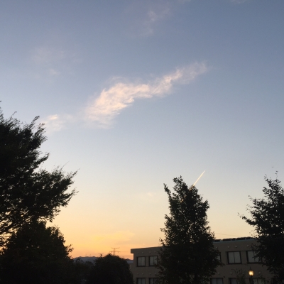 20120729_01