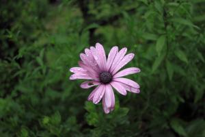 20120720_02