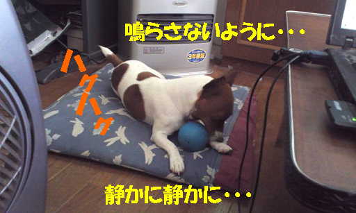リンボール11