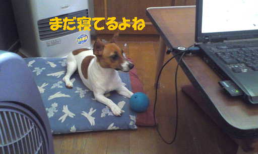 リンボール22