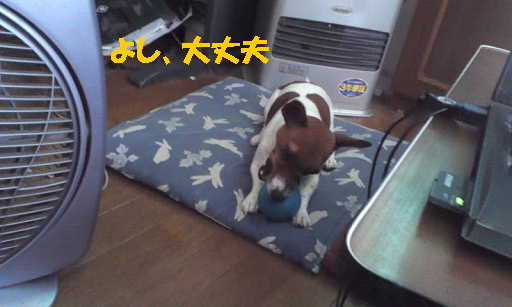 リンボール33