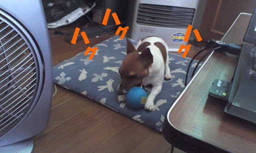 リンボール44