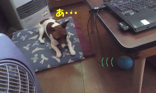 リンボール55